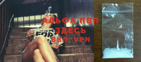 сатива Алексеевка
