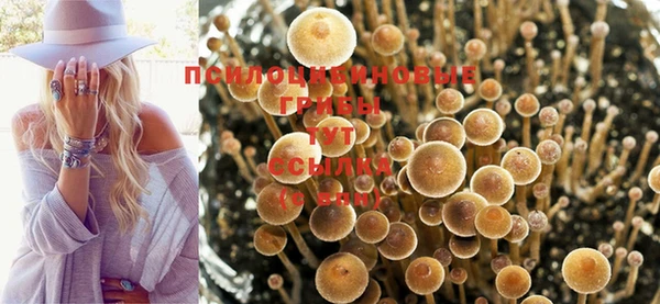 сатива Алексеевка