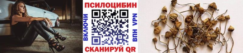 Галлюциногенные грибы мухоморы  Находка 